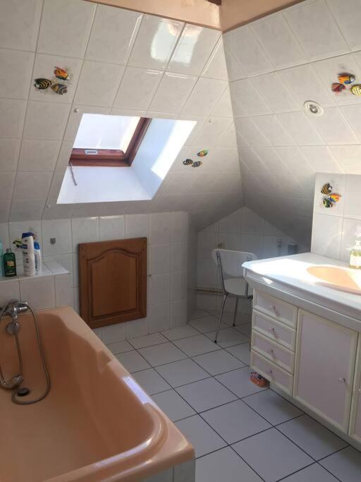 Logement Cosy Et Lumineux Auxerre Esterno foto